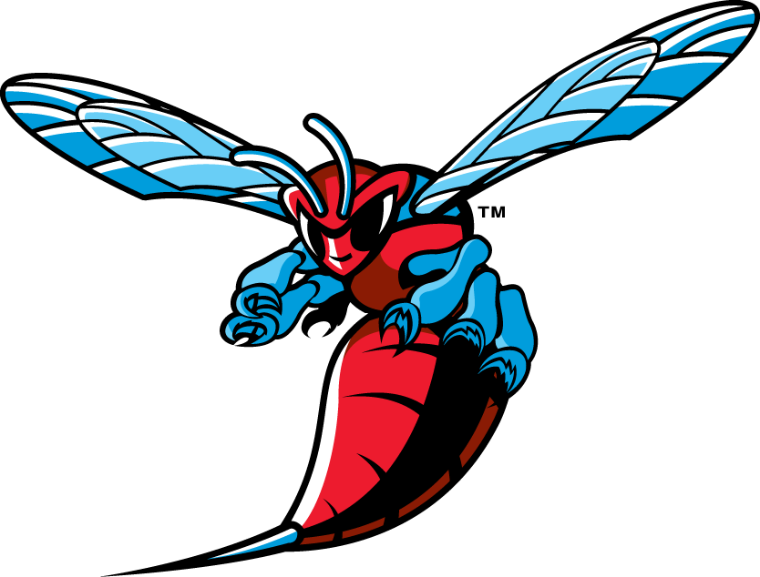 Delaware State Hornets decals